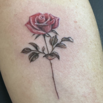 Фото с портфолио Tattoo School UA