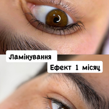 Фото с портфолио Тетяна Ластівка