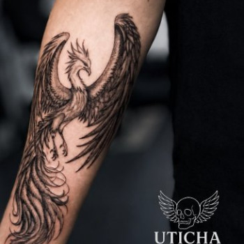 Фото с портфолио Uticha