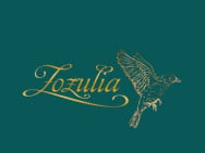 Массажный салон Zozulia Massage на Barb.ua