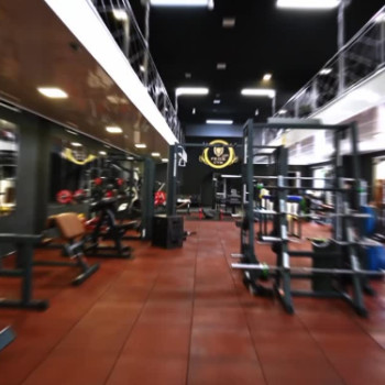 Фото с портфолио Pride elite Gym