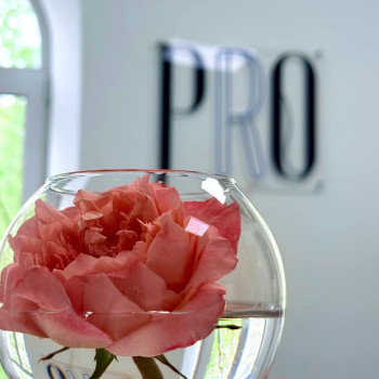 Фото с портфолио ProLash Studio