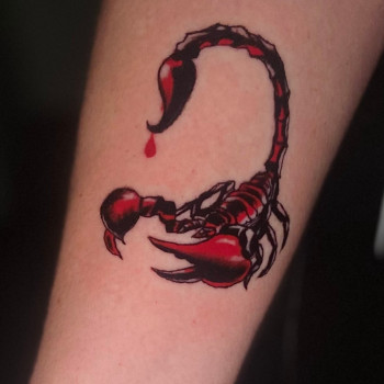 Фото с портфолио Lika tattoo 