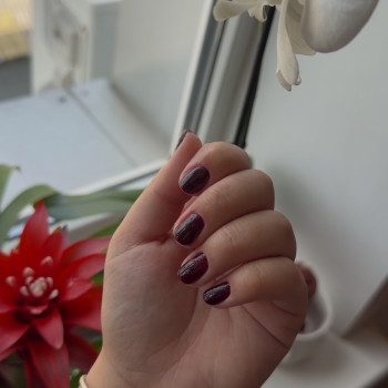 Фото с портфолио Дарія Дзюбак