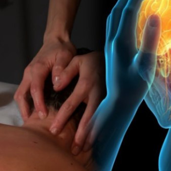 Фото с портфолио Body Balance