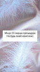 В Bestie приведи свою Bestie Мастер лазерной эпиляции  Хмельницкий
