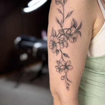 Фото с портфолио Анна Сухан