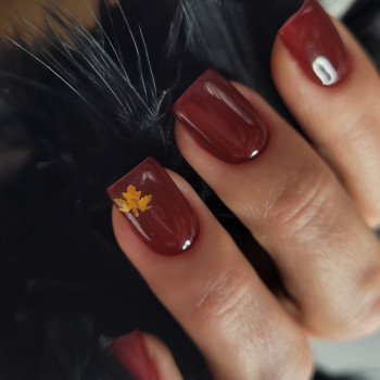Фото с портфолио Наталья Коваль