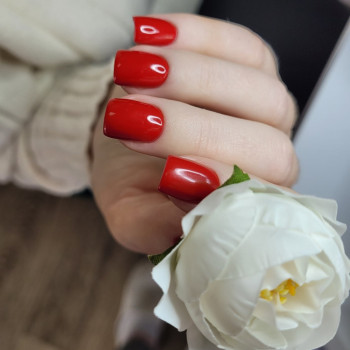 Фото с портфолио Наталья Коваль