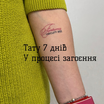 Тату з написом «Fortuna mecum est» — «Фортуна зі мною». Напис виконаний у поєднанні рукописного шрифту та тонких чорних літер. Мінімалістичне Fine Line татуювання, показане на 7-й день загоєння. Тату в Одесі.