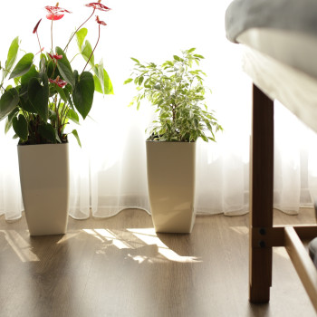 Фото с портфолио Олена Костюк
