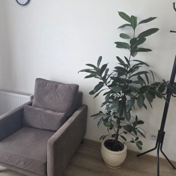 Фото с портфолио Олена Грибачова