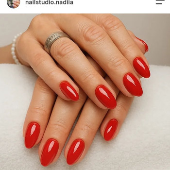 Фото с портфолио Nadejda Gloria