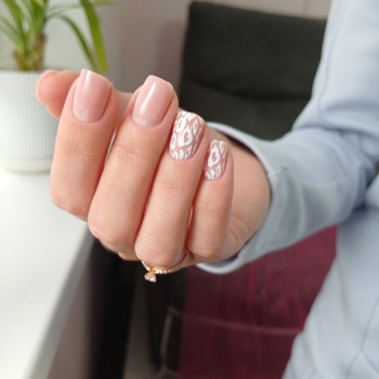 Фото с портфолио WKN
