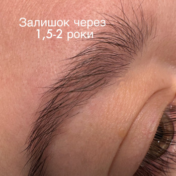 Заживший перманент брів