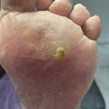 Фото с портфолио Тетяна Савченко