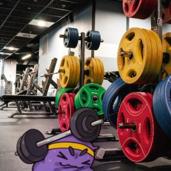 Фото с портфолио MGym