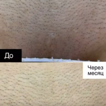 Фото с портфолио Елена Минникова