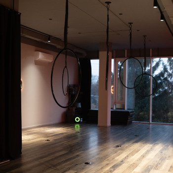 Фото с портфолио Verta Pole & Aerial Studio