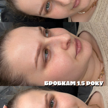 ,5роки