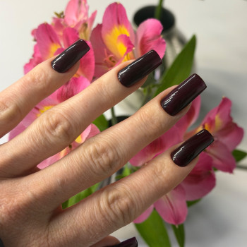 Фото с портфолио Nails Pro