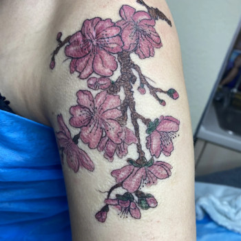 Фото с портфолио Алена Ситникова