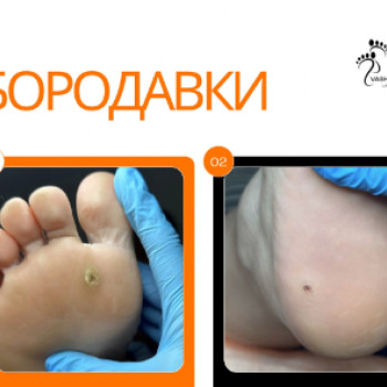 Фото с портфолио Дарья 