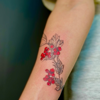 Фото с портфолио Татьяна Толстых