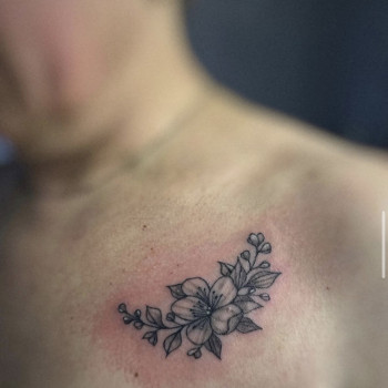 Фото с портфолио Дарʼя Кулинич