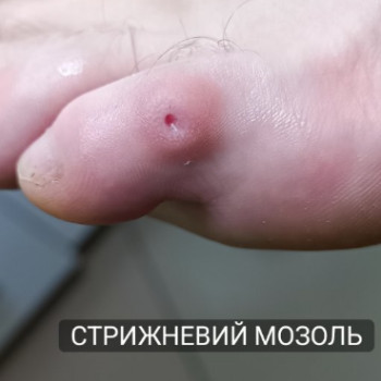 Фото с портфолио Оксана Кухар