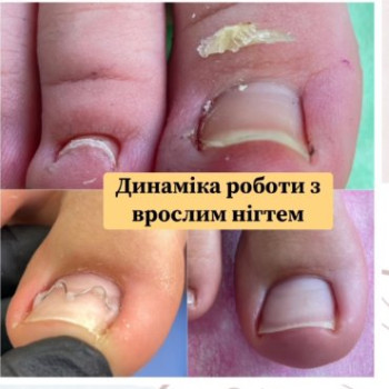 Фото с портфолио Ольга Авраменко