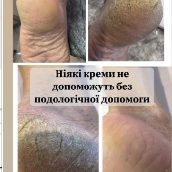 Фото с портфолио Ольга Авраменко