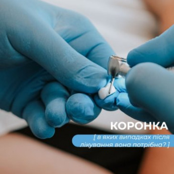 Фото с портфолио Dental Family