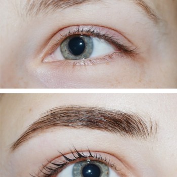 Окрашивание + коррекция бровей
                    Бровист Ксения Николаев