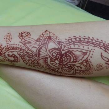 Веслава, Днепр Фото - 5