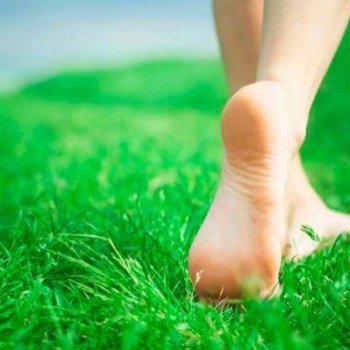 Педикюр + гель-лак
                    Салон краси Loren Вінниця