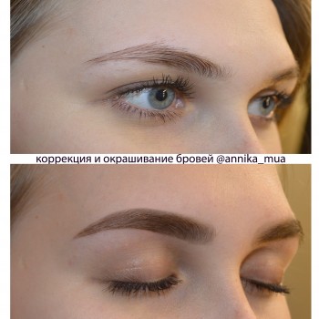 Коррекция бровей
                    Визажист Анника Днепр