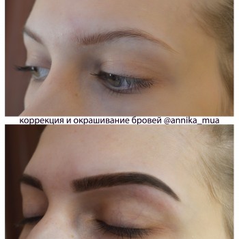 Коррекция бровей
                    Визажист Анника Днепр