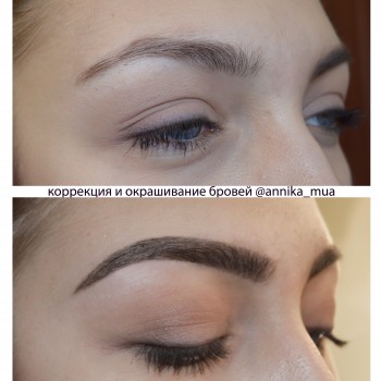 Коррекция бровей
                    Визажист Анника Днепр