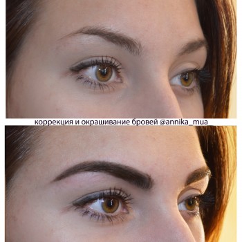 Коррекция бровей
                    Визажист Анника Днепр