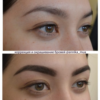 Коррекция бровей
                    Визажист Анника Днепр