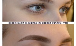 Покраска бровей/ресниц Візажист Анника Романова Дніпро