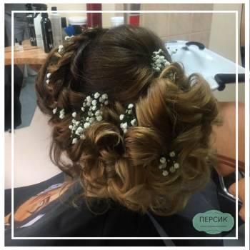 Персик, Запорожье Фото - 5