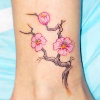 Фото с портфолио Pudra