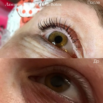 Ламинирование ресниц
                    Лешмейкер Шилина Елена Київ