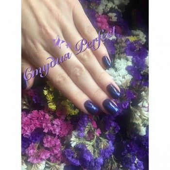 Маникюр+биогель+ shellac
                    Студия коррекции фигуры Perfect Київ