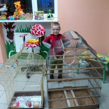 Чемпиончик, Київ Фото - 8