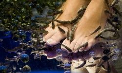 Fish SPA СПА-салон Бали Одеса
