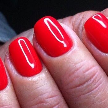 Фото с портфолио Soldi Studio