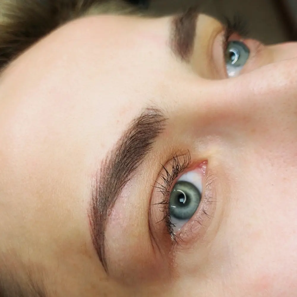 Ніжний коричневий мікроблейдинг, фото загоєної роботи